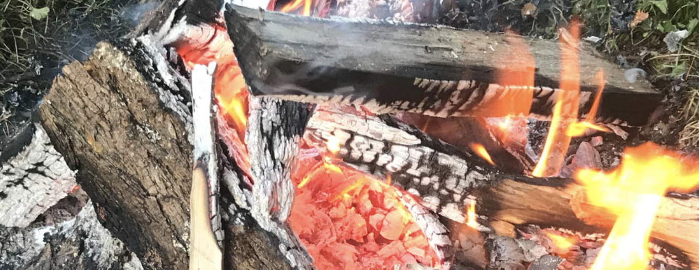 Fire — Judy Brown • Tenneson Woolf